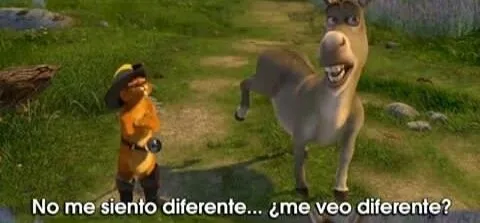 Burro de Shrek: no me siento diferente... ¿me veo diferente?
